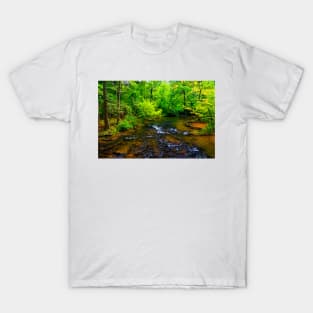 Mountain Stream on the Abrams Falls Trail T-Shirt